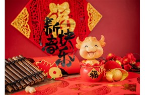 山東雙鷹醫(yī)療祝大家春節(jié)快樂！